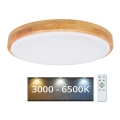 Brilagi - LED Димируема лампа PINE  LED/24W/230V 3000-6500K + дистанционно