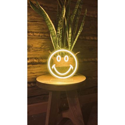 2Kids Toys - LED Неон маса декорация LED/5W/USB усмивка