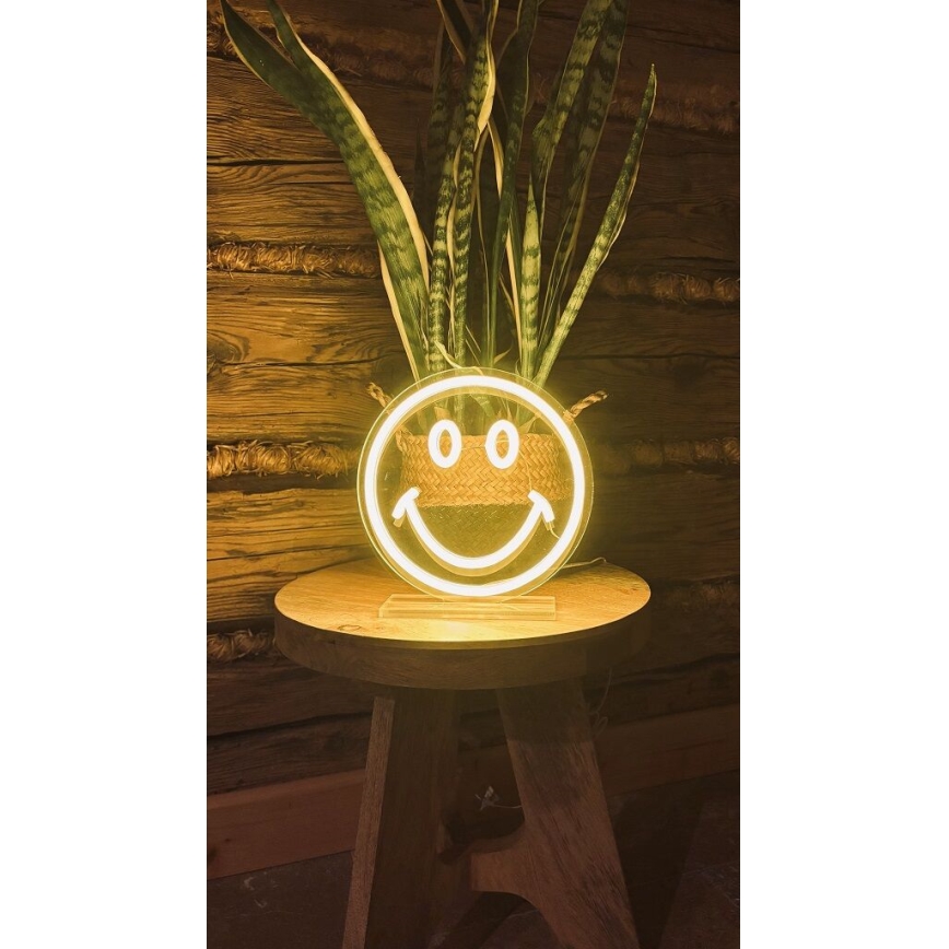 2Kids Toys - LED Неон маса декорация LED/5W/USB усмивка