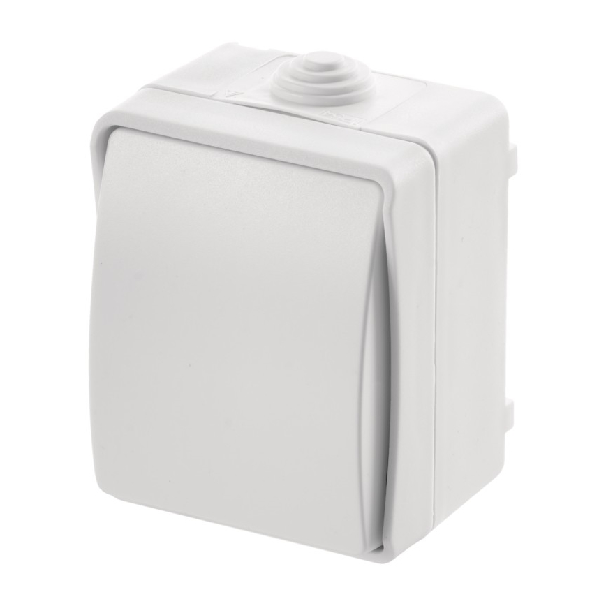AC превключвател за дома 250V / 10A IP54