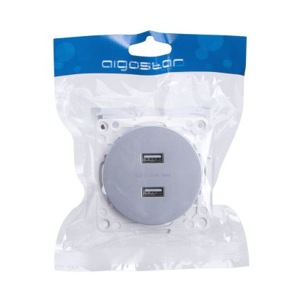 Aigostar - безрамкова USB захранваща розетка 2x USB-A сребриста