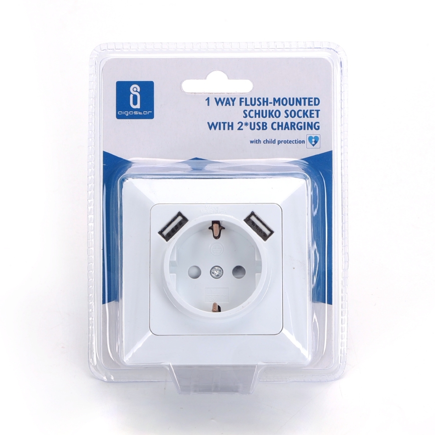 Aigostar - Домашна SCHUKO розетка 250V + 2x USB с бяла рамка