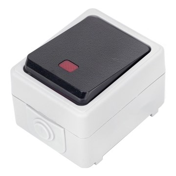 Aigostar - Еднобутонен ключ IP54
