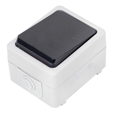 Aigostar - Еднокнопков ключ IP54