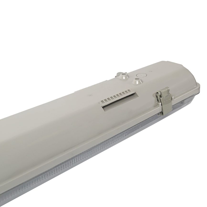 Aigostar - Индустриална флуоресцентна лампа T8 2xG13/20W/230V IP65