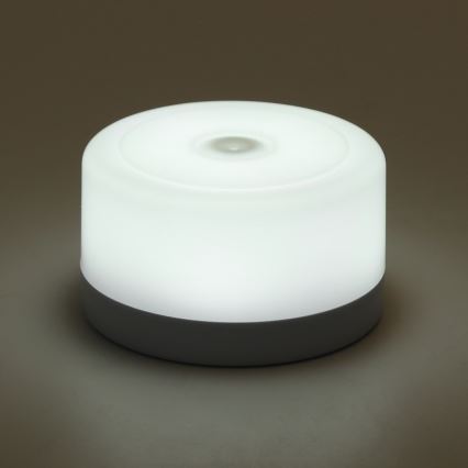 Aigostar - LED Димируем преносима нощна лампа LED/1W/5V 6500K + USB