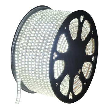 Aigostar - LED Екстериорна лента 50m LED/350W/230V 6500K IP65