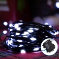 Aigostar - LED Екстериорни коледни лампички 100xLED/8 функции 10,3 м IP44 студено бял