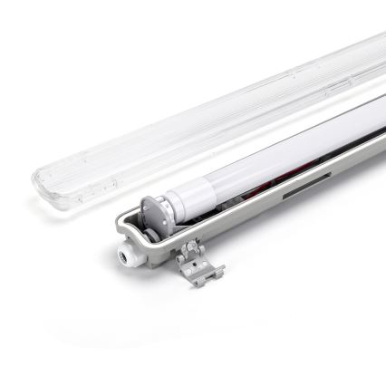 Aigostar - LED индустриална флуоресцентна лампа 1xG13/18W/230V 4000K 127,6 см IP65