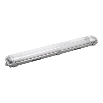 Aigostar - LED индустриална флуоресцентна лампа 2xG13/9W/230V 4000K 66,6 см IP65