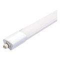 Aigostar - LED Индустриална лампа LED/18W/230V 6500K 60 см IP65