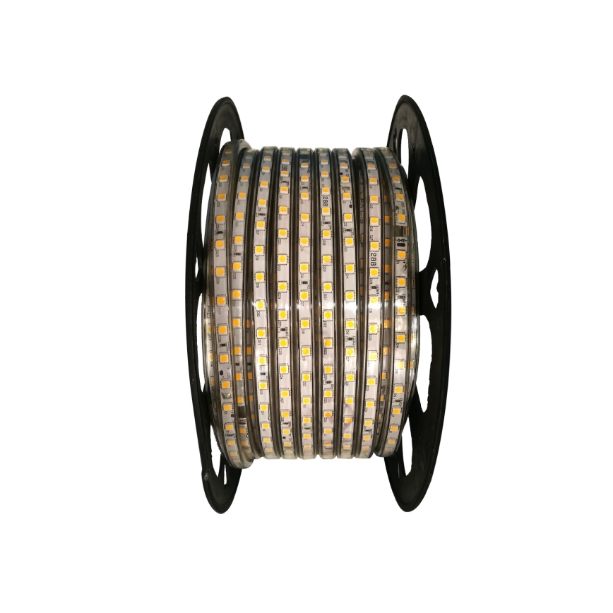 Aigostar - LED лента за външна употреба 50m LED/350W/230V 3000K IP65