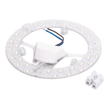 Aigostar - LED магнитен модул LED/24W/230V 6500K