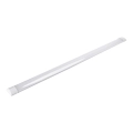 Aigostar - LED осветително тяло тип луминисцентна тръба LED/40W/230V 4000K 120 cm