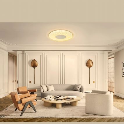 Aigostar - LED Плафониера LED/12W/230V 3000K Ø 26 см