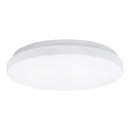 Aigostar - LED Плафониера LED/24W/230V 3000K