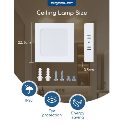 Aigostar - LED повърхностно монтирано таванно осветително тяло LED/18W/230V 4000K 22,6x22,6 cm бяло