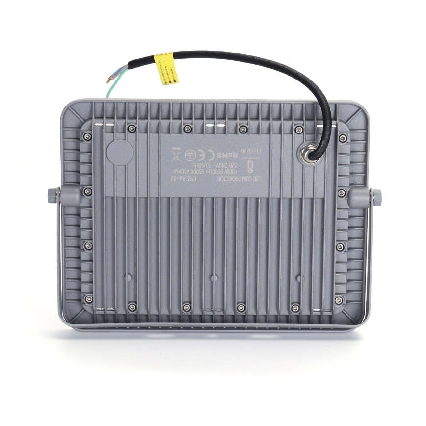 Aigostar - LED Прожектор LED/100W/230V сив 6500K IP65