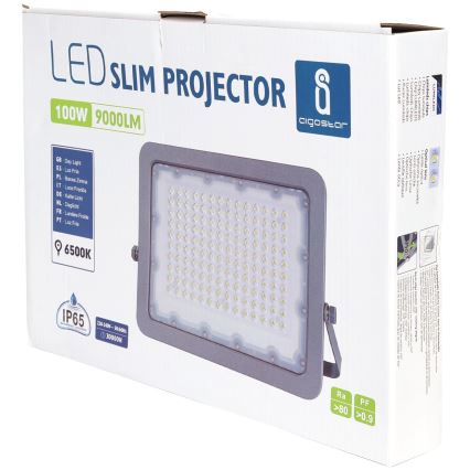 Aigostar - LED Прожектор LED/100W/230V сив 6500K IP65