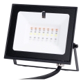 Aigostar - LED RGB димируем прожектор LED/10W/230V IP65 + дистанционно управление