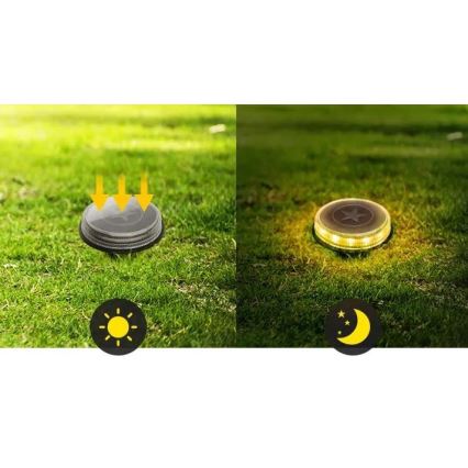 Aigostar - LED Соларна лампа LED/0,6W/5,5V 24,5 см 500 mAh 3200K IP66 черен