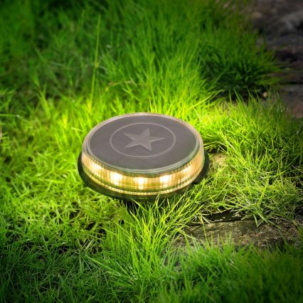 Aigostar - LED Соларна лампа LED/0,6W/5,5V 24,5 см 500 mAh 3200K IP66 черен