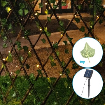Aigostar - LED Соларна верига 148xLED/2x1,2m IP65 топло бяло ivy