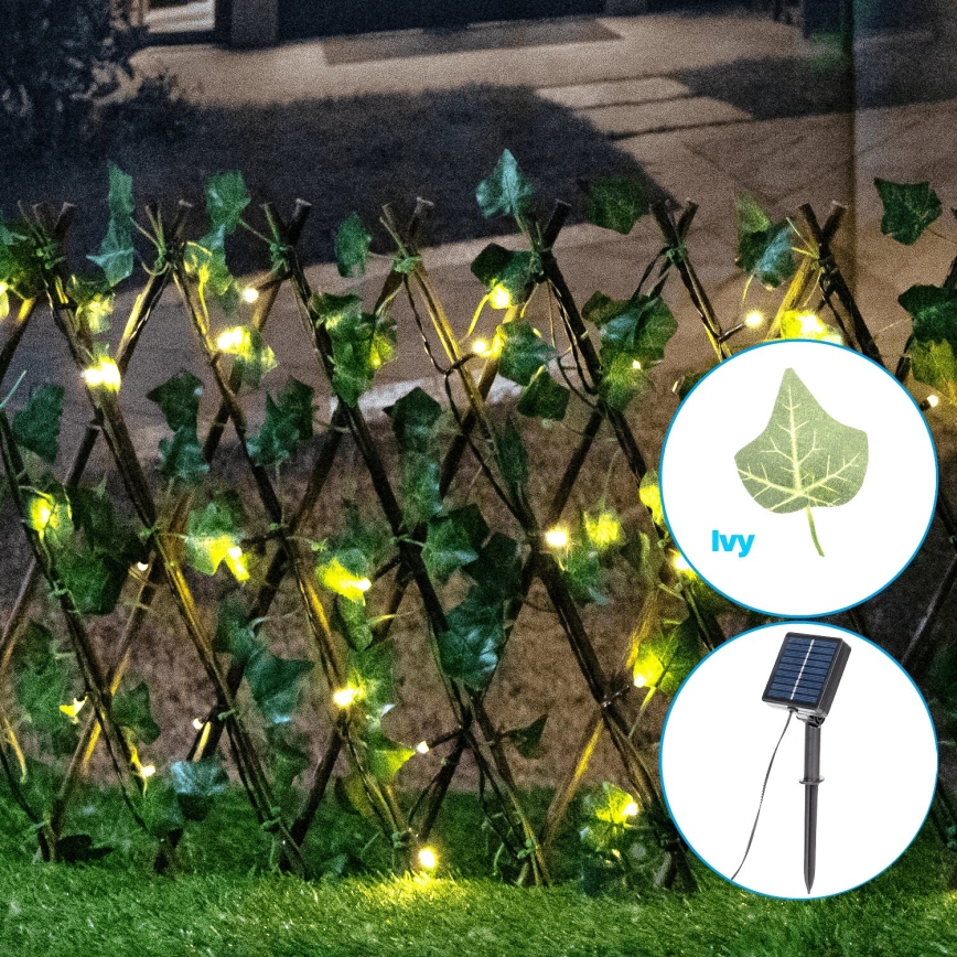 Aigostar - LED Соларна верига 56xLED/2x0,4m IP65 топло бяло ivy