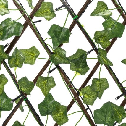 Aigostar - LED Соларна верига 56xLED/2x0,4m IP65 топло бяло ivy