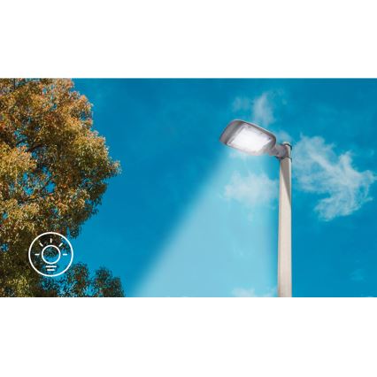 Aigostar - LED Улична лампа SLIM LED/150W/230V 6500K IP65