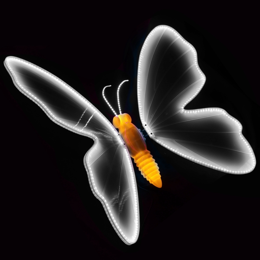 Aigostar - LED външна декорация 468xLED/18W/230V 75 cm IP44 пеперуда/студено бяла