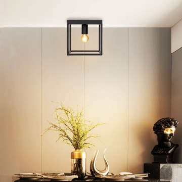 Aigostar - Плафон 1xE27/40W/230V черен