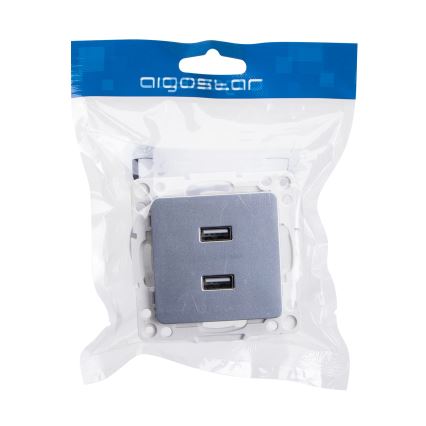 Aigostar - USB захранваща розетка без рамка 2x USB-A сребриста