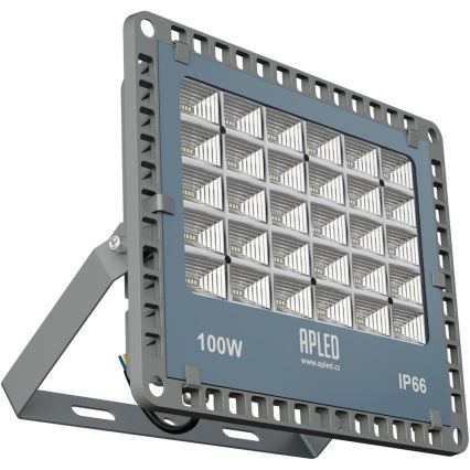 APLED - LED Екстериорен прожектор PRO LED/100W/230V IP66 10000lm 6000K
