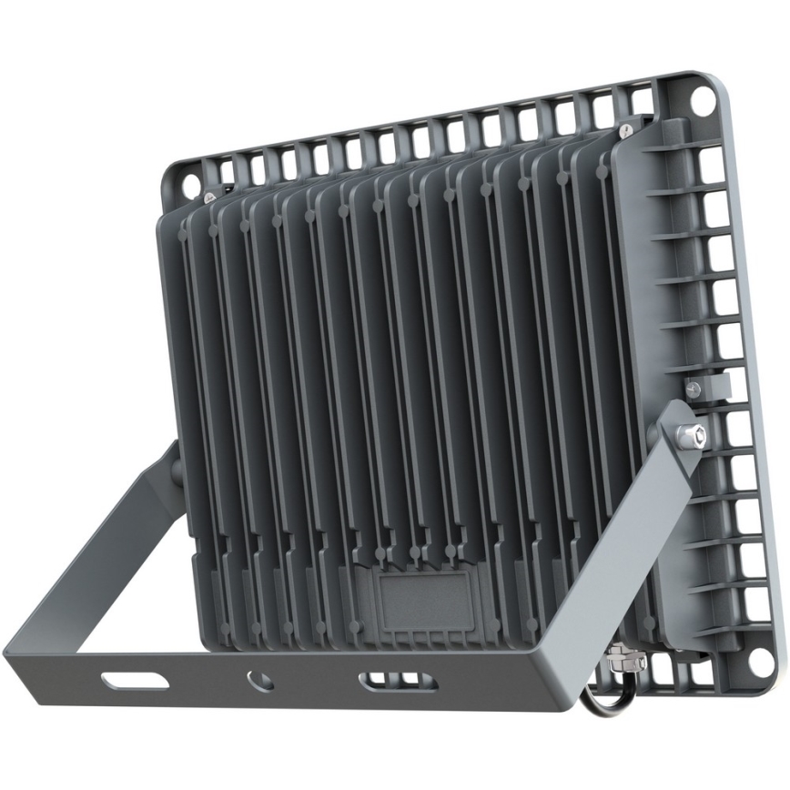 APLED - LED Екстериорен прожектор PRO LED/100W/230V IP66 10000lm 6000K