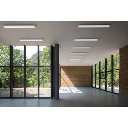 APLED - LED Лампа за повърхностен монтаж TROUT LED/36W/230V 4000K + спешен случай