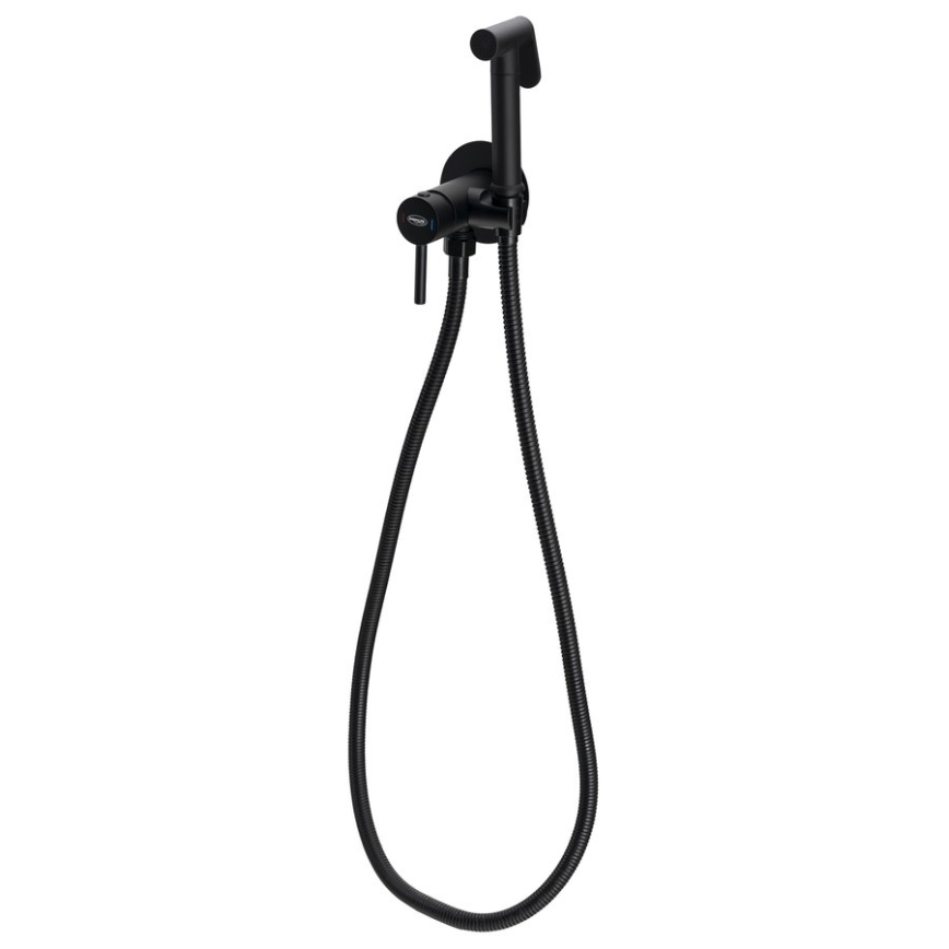 Aqualine - Смесител за бидета с душ за скрит монтаж матов черен