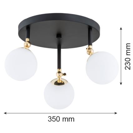 Argon 1436 - Плафон за баня LATINA 3xE14/40W/230V IP44