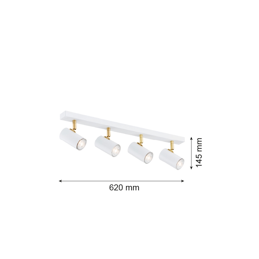 Argon 1689 - Спот LAGOS 4xGU10/5W/230V бяло/златисто