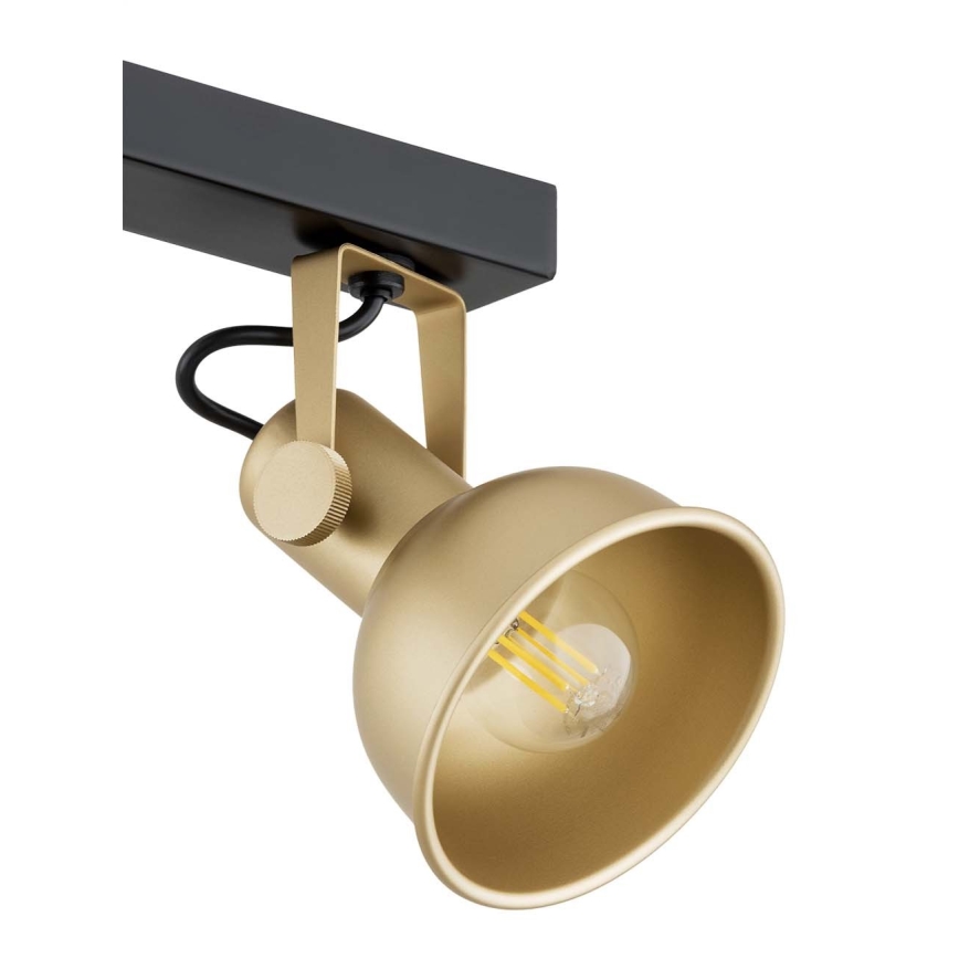 Argon 1801 - Спот LENORA 4xE14/7W/230V златиста/черна