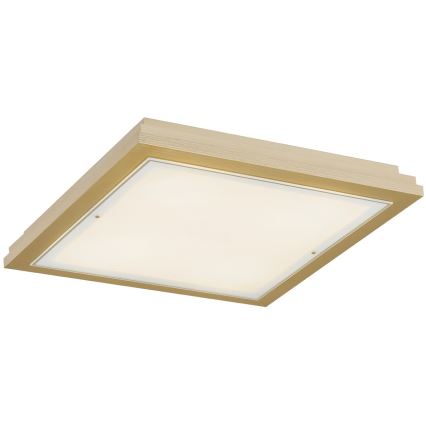 Argon 1804 - Плафон CASERTA 4xE27/15W/230V 52x52 cm