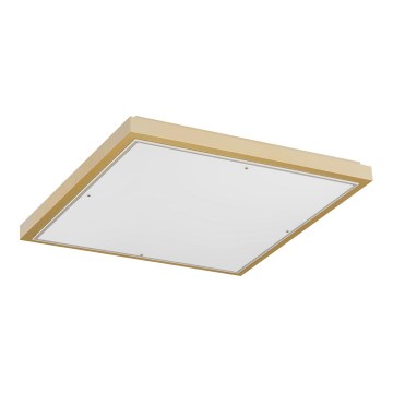 Argon 1816 - Плафон CARLSON 4xE27/15W/230V 60x60 см златист