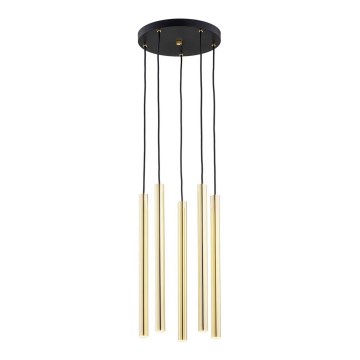 Argon 2109 - LED Висящ полилей SICILIA 5xLED/4,5W/230V