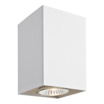 Argon 3087 - Точково осветително тяло TYBER 3 1xGU10/50W/230V