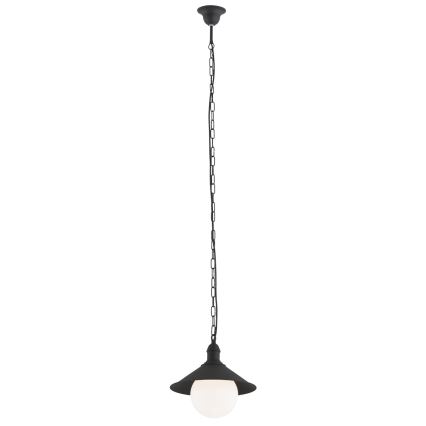 Argon 3285 - Екстериорна Полилей ERBA BIS 1xE27/60W/230V