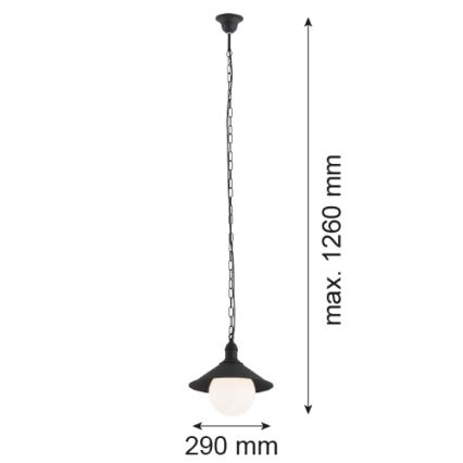 Argon 3285 - Екстериорна Полилей ERBA BIS 1xE27/60W/230V