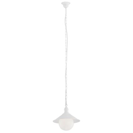 Argon 3296 - Екстериорна Полилей ERBA BIS 1xE27/60W/230V