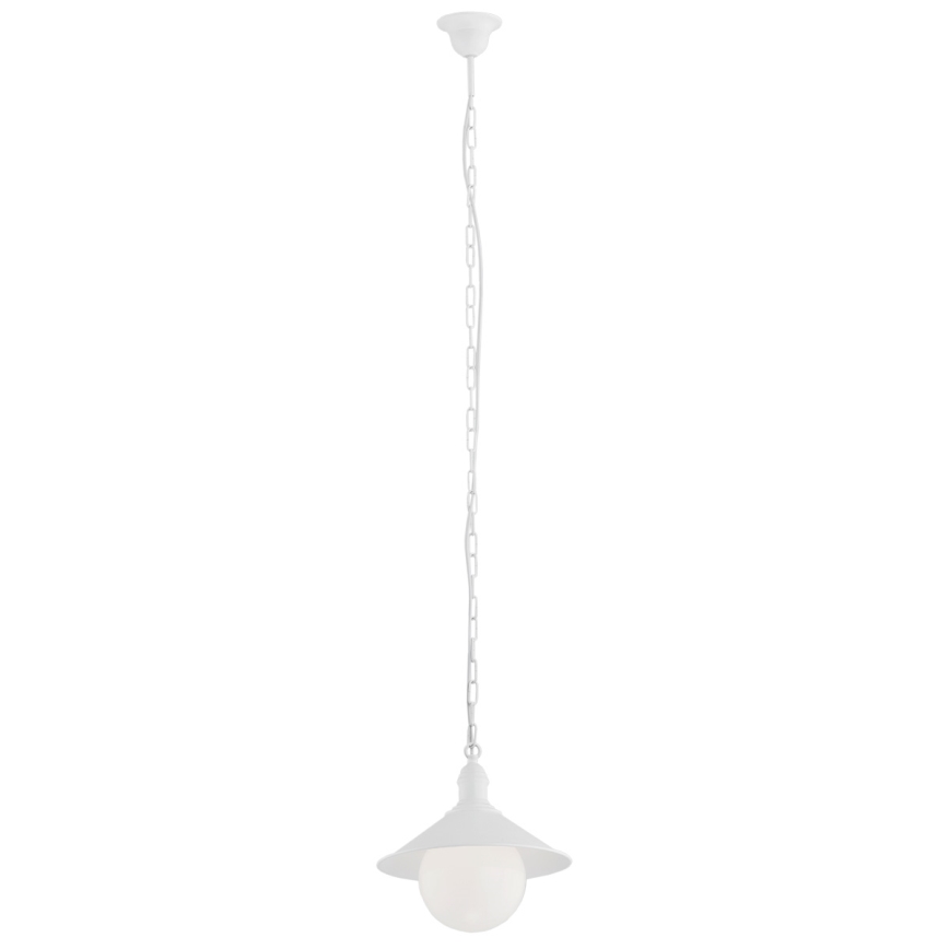 Argon 3296 - Екстериорна Полилей ERBA BIS 1xE27/60W/230V