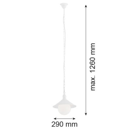Argon 3296 - Екстериорна Полилей ERBA BIS 1xE27/60W/230V