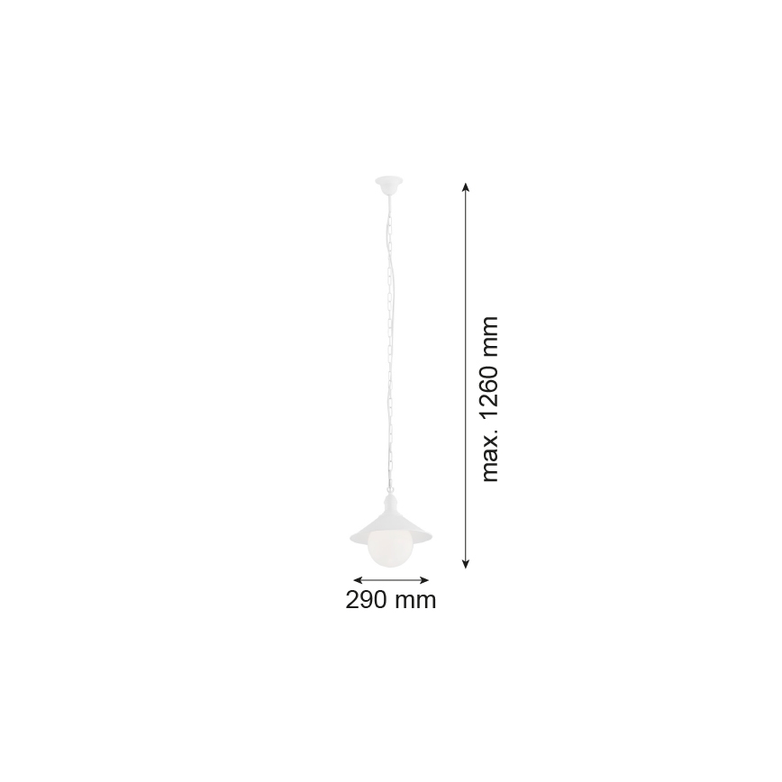 Argon 3296 - Екстериорна Полилей ERBA BIS 1xE27/60W/230V